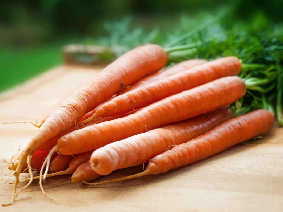 Empowering Change! – thru&nbsp;carrots?