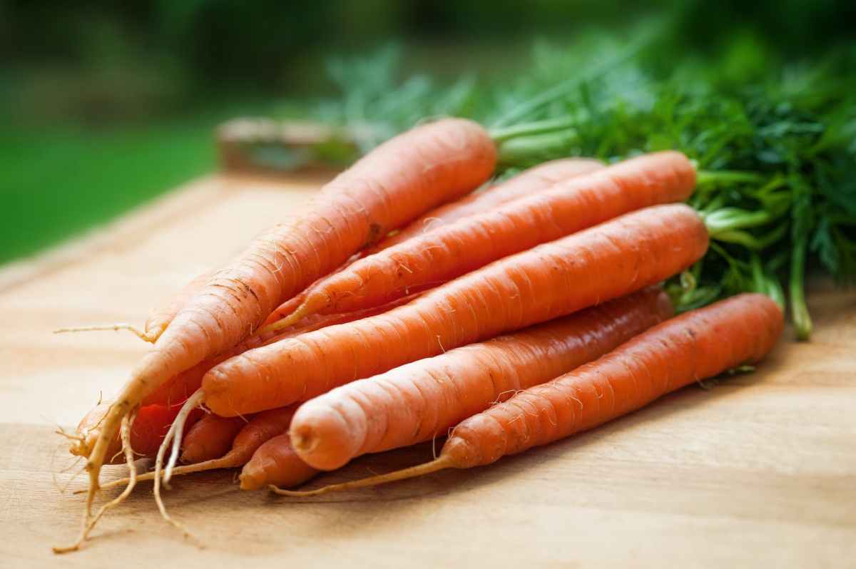 Empowering Change! – thru&nbsp;carrots?